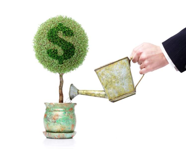 7 consejos básicos de educación financiera para tu vida privada