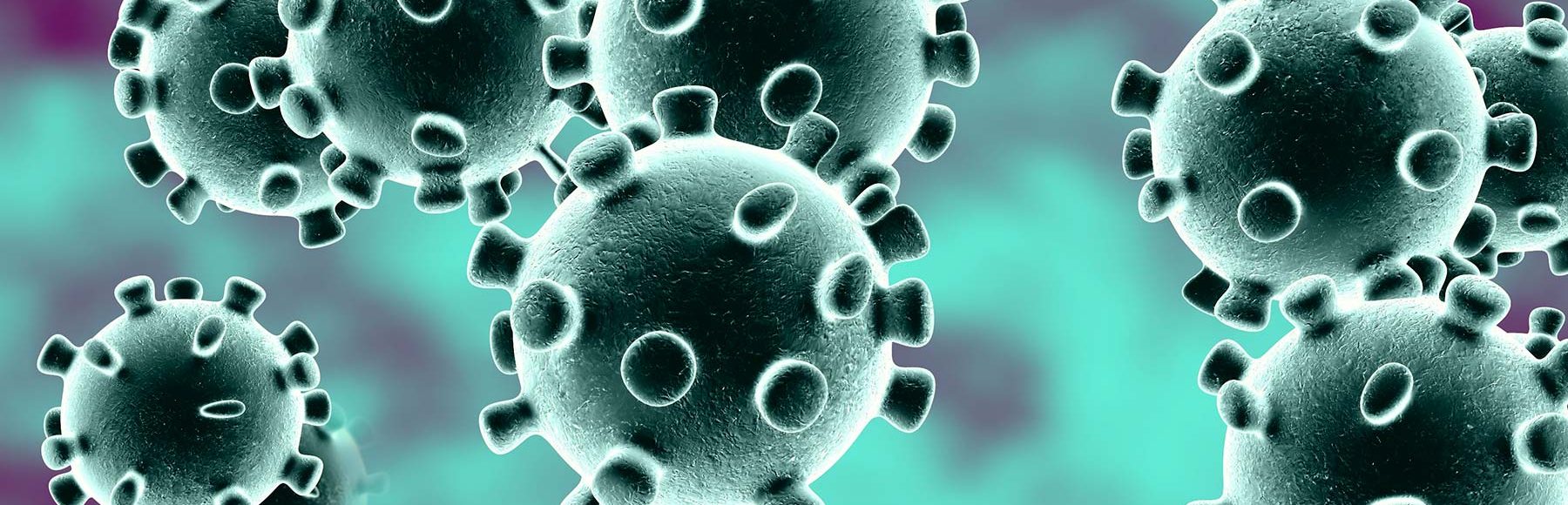 La posible cura del coronavirus y lo que debes saber